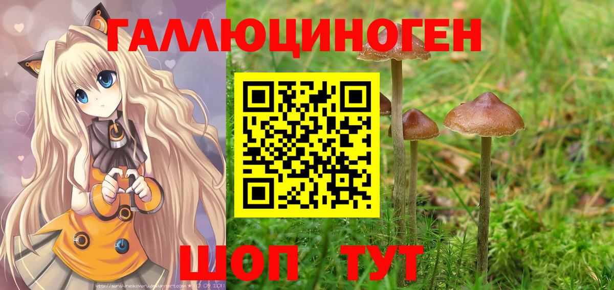 Псилоцибиновые грибы MAGIC MUSHROOMS  Вход с VPN  Калининград 