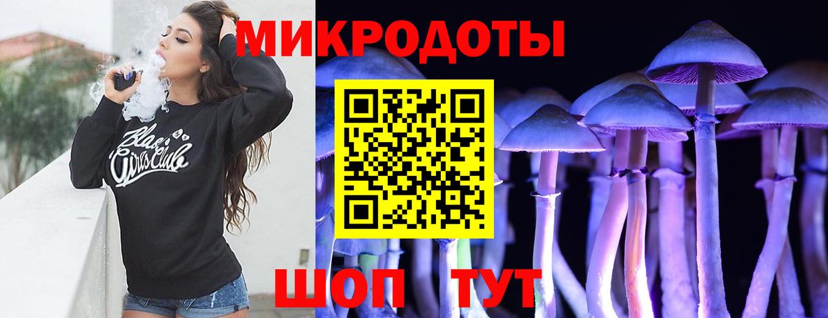Галлюциногенные грибы Cubensis Калининград